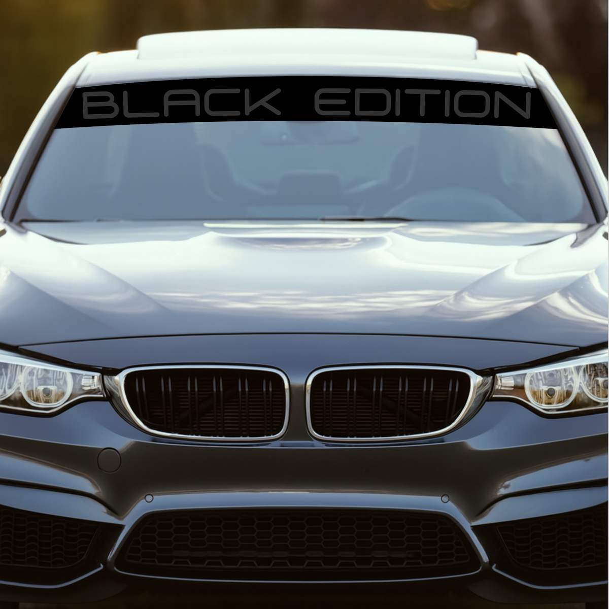 Blendstreifen "BLACK EDITION"| Scheibenkeil, Sonnenblende | ab 19,90€