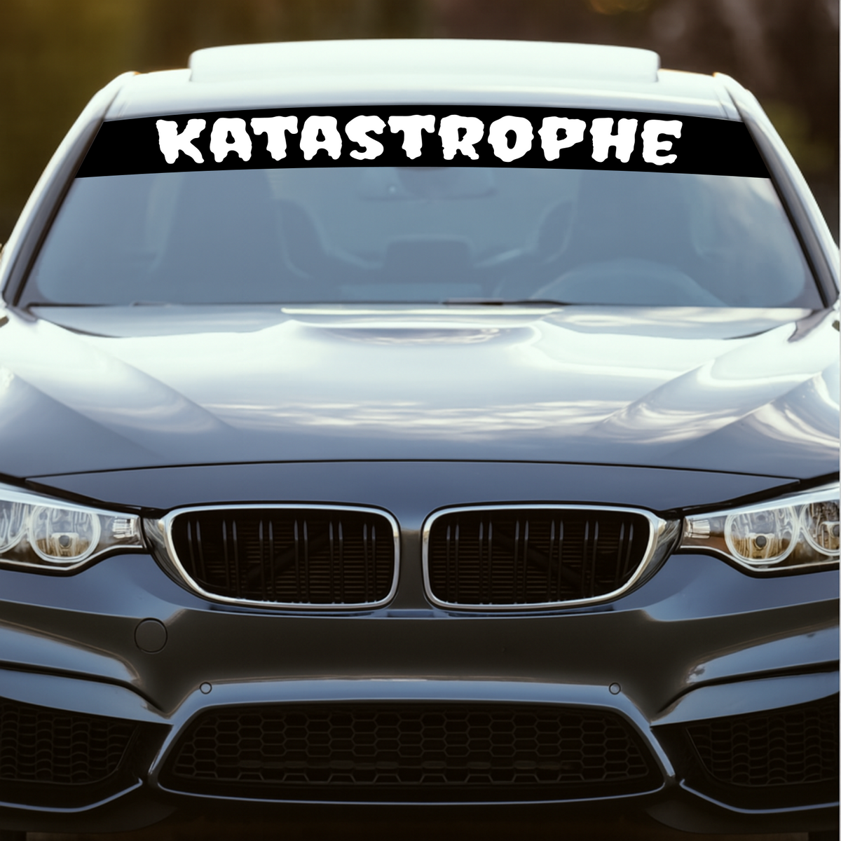 Blendstreifen "KATASTROPHE"| Scheibenkeil, Sonnenblende | ab 19,90€