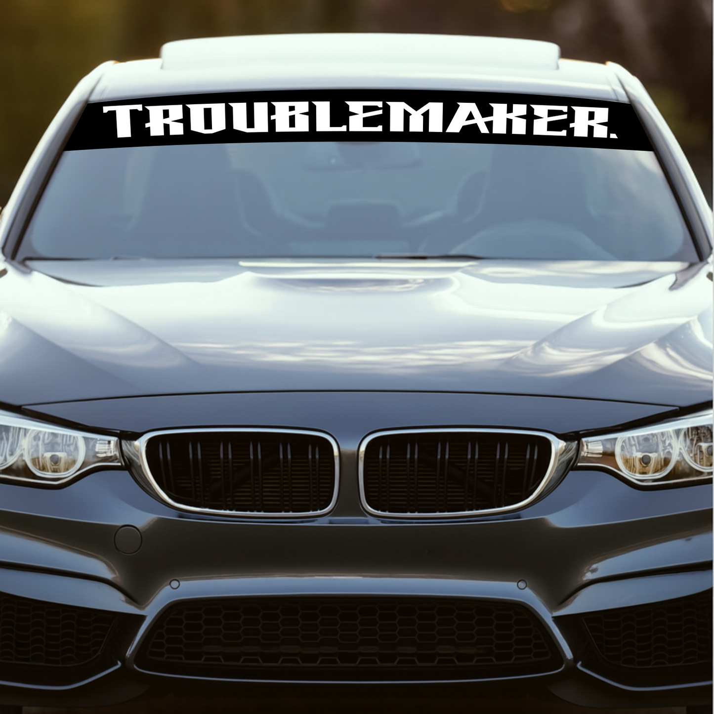Blendstreifen "TROUBLEMAKER."| Scheibenkeil, Sonnenblende | ab 19,90€