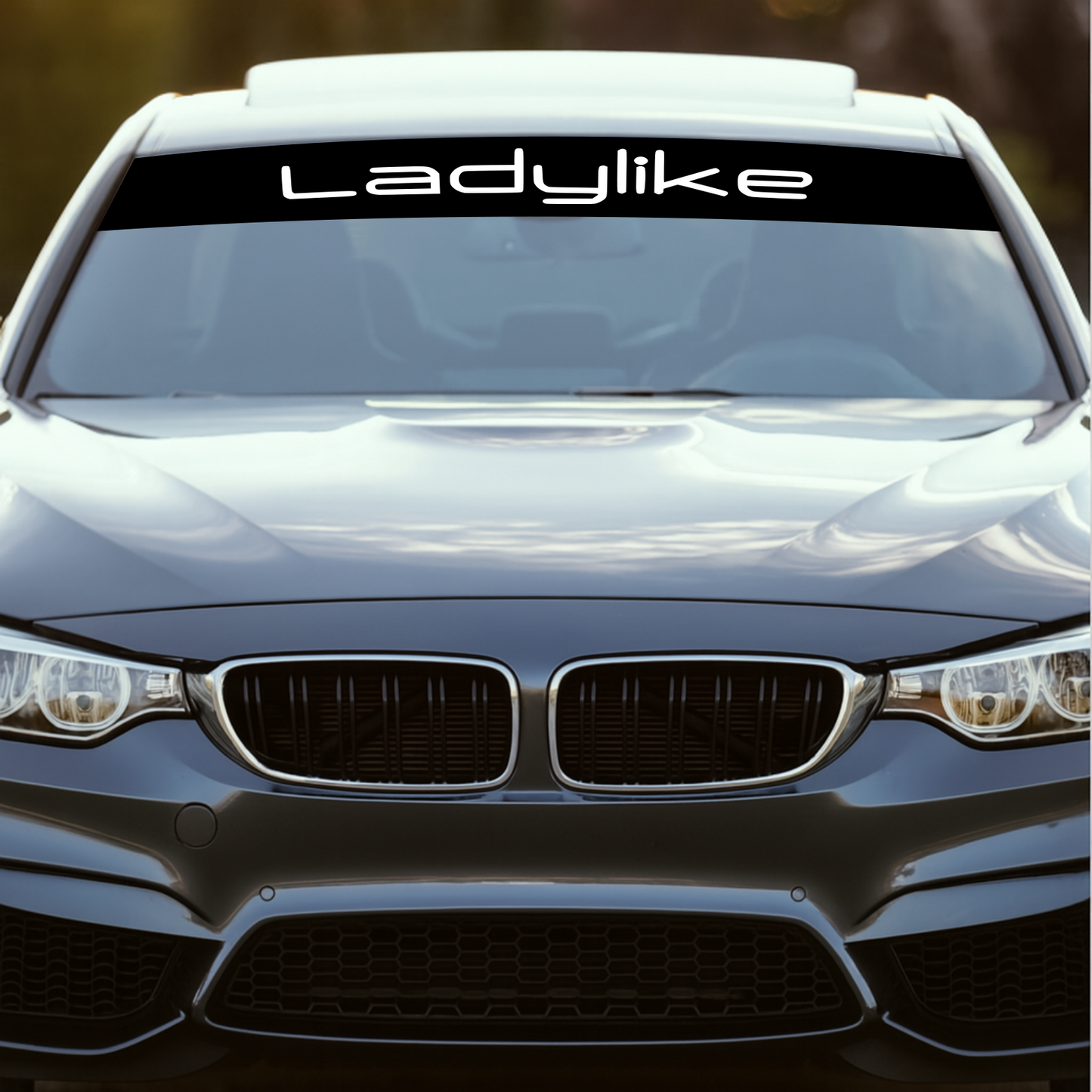 Blendstreifen "LADYLIKE"| Scheibenkeil, Sonnenblende | ab 19,90€