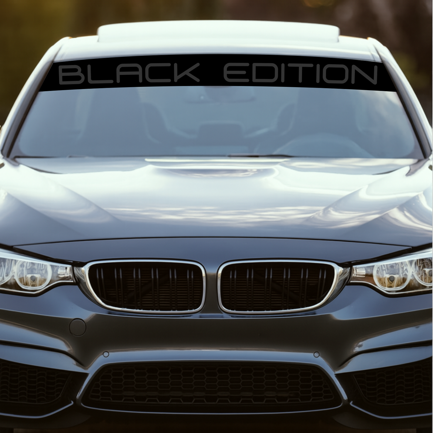 Blendstreifen "BLACK EDITION"| Scheibenkeil, Sonnenblende | ab 19,90€
