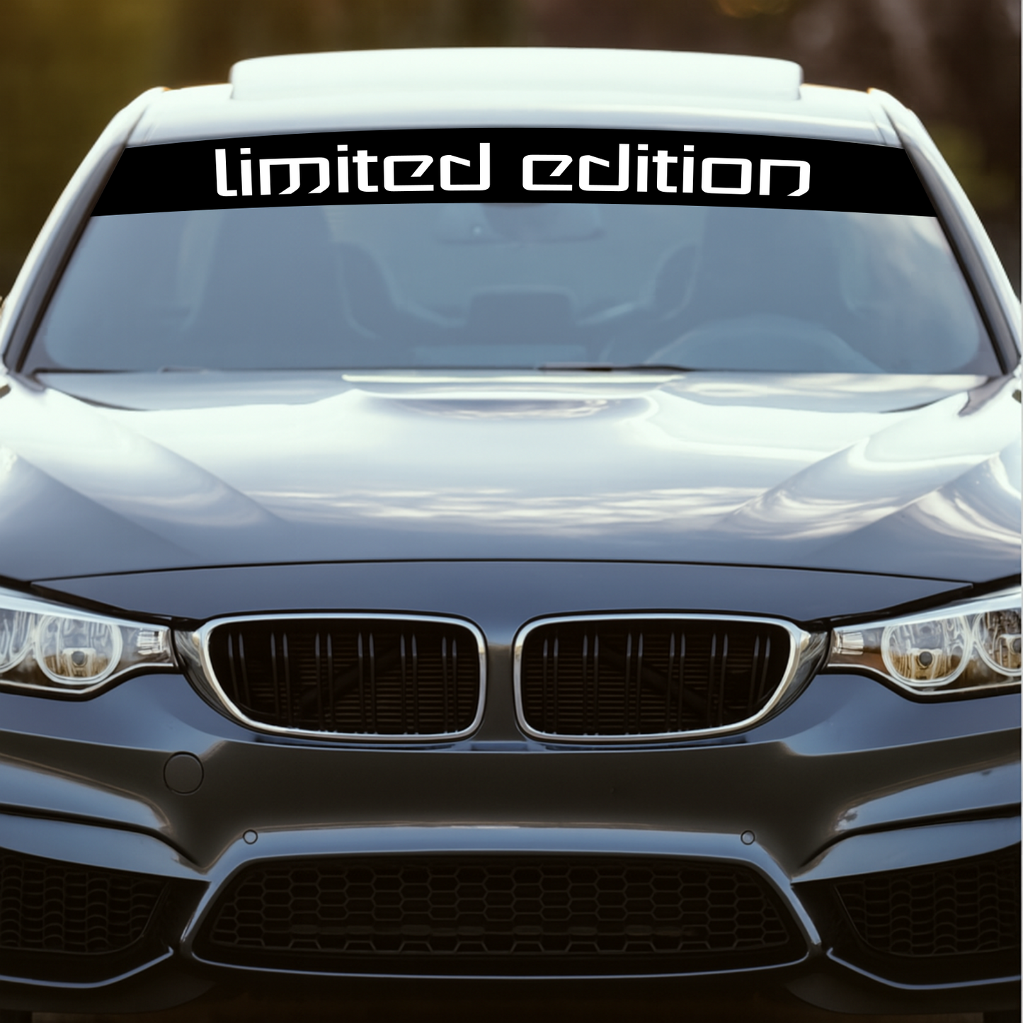 Blendstreifen "LIMITED EDITION"| Scheibenkeil, Sonnenblende | ab 19,90€